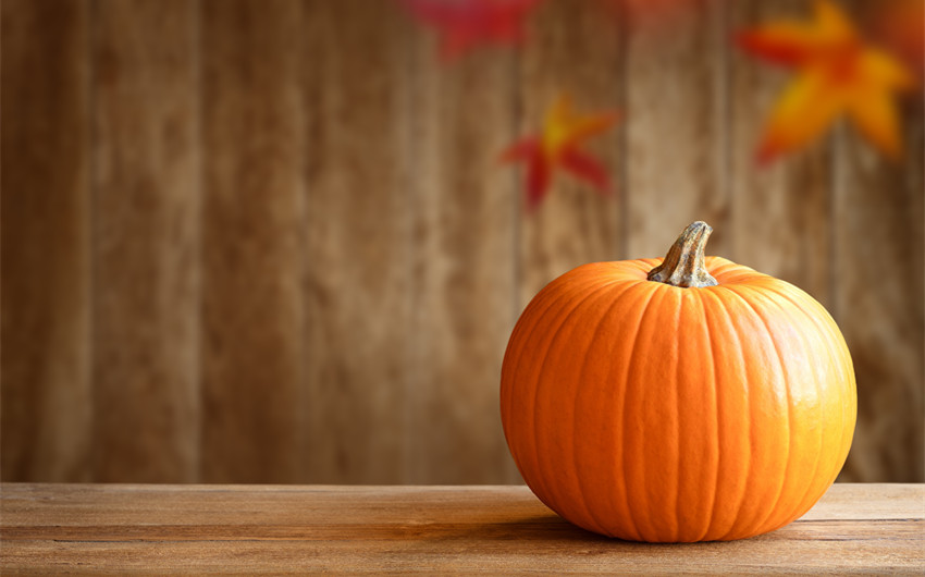 Pumpkin Pun One-Liners