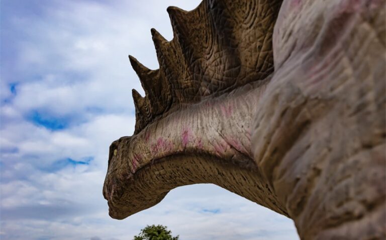 amargasaurus name meaning