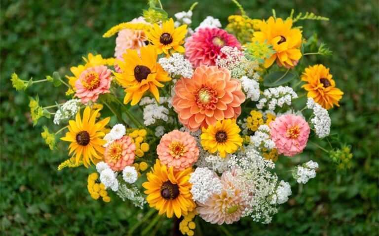 flordeliza name meaning