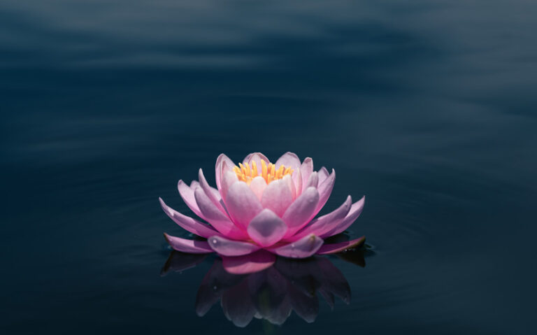 japanese name ren meaning