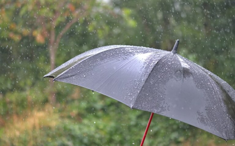 35 Short Rain Quotes That Say a Lot with a Little