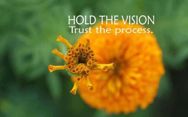 35 Trust the Process Quotes That Help Me Let Go